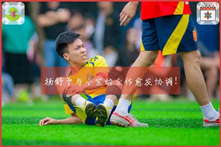 杨舒予与小宝的合作愈发协调！