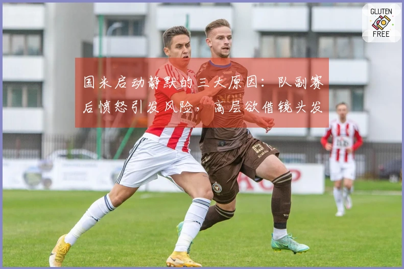 国米启动静默的三大原因：队副赛后愤怒引发风险，高层欲借镜头发声